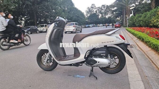 Honda Scoopy Trắng