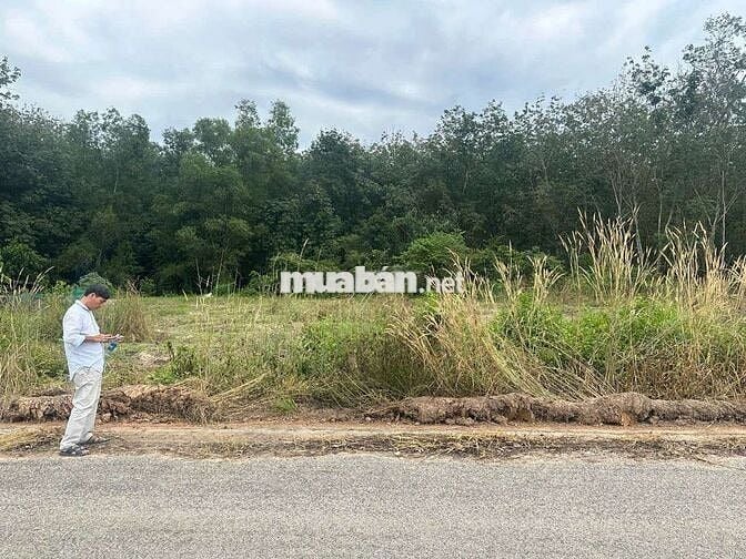 Bán đất thổ cư mặt tiền đường huyện