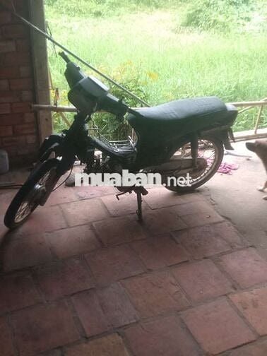 Rim màu Nâu có giấy