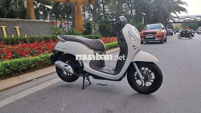 Honda Scoopy Trắng