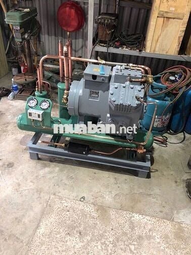 Kho lạnh cho thuê chỉ cần vào làm