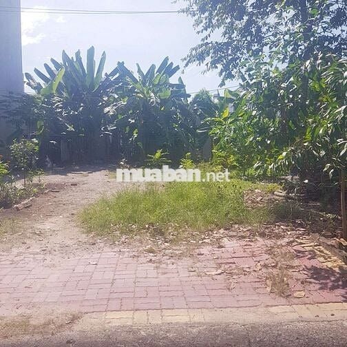 Bán đất mt đg trương định ngay trung tâm phú mỹ,dt:5x20 giá 3.3ty