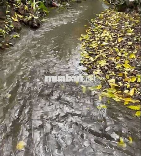 ⭐ĐẤT THỔ CƯ KỀ SÂN BAY LONG THÀNH, ĐỐI DIỆN KCN XUÂN QUẾ – SÔNG NHẠN