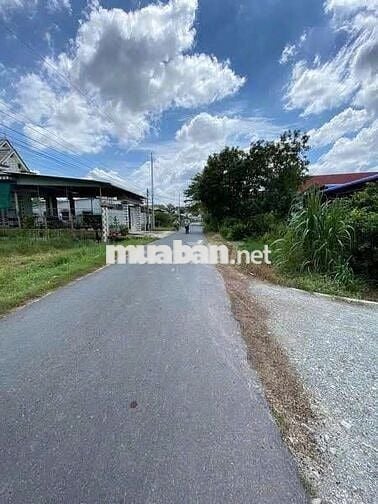 CHÚ KHÁCH GỬI MIẾNG ĐẤT 160m2 ( 5x32) Ở Trảng Bàng - Gia Lộc, 500tr