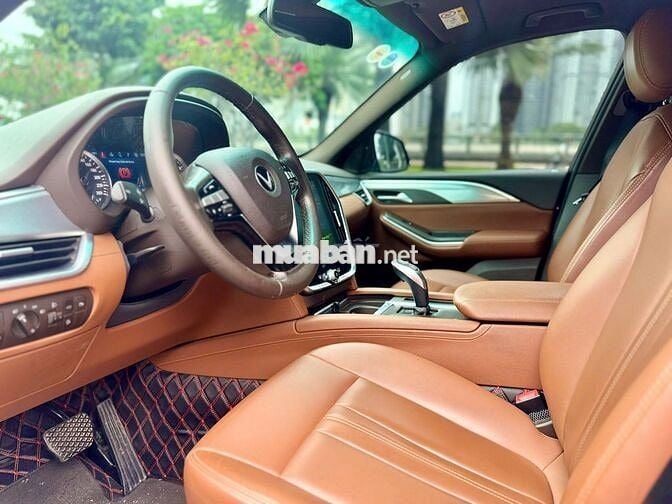 Vinfast Lux SA Premium 2019 - Nâu. 635tr