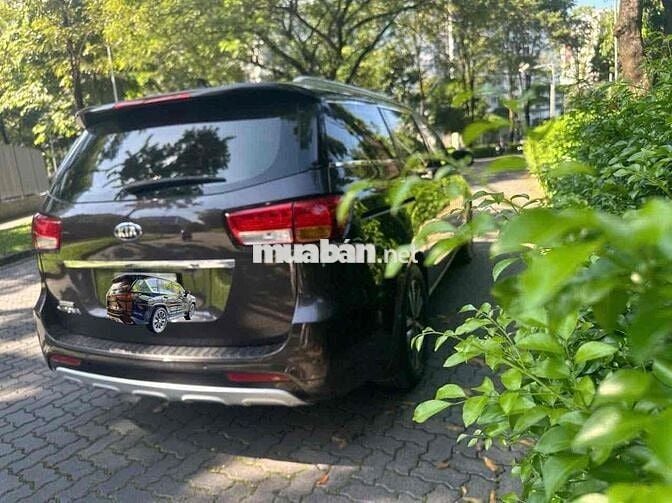 Kia sedona 7 chỗ màu Nâu