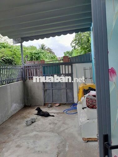 Cho thuê nhà nguyên căn chính chủ đường số 3