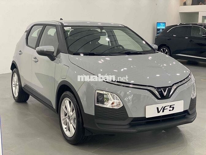 VinFast VF5 mua xe 0 đồng