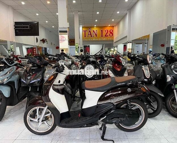 ZIN CỌP - Mio Classico - Zin Nguyên Con Cực Êm Đep