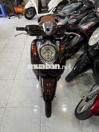 ZIN CỌP - Mio Classico - Zin Nguyên Con Cực Êm Đep