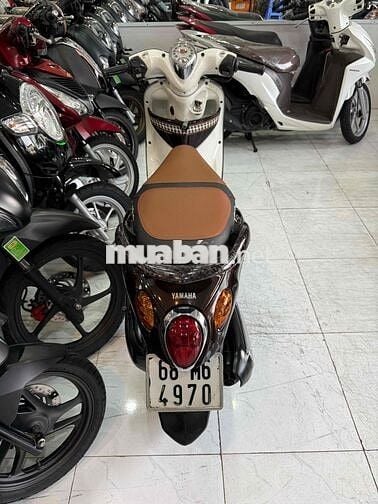 ZIN CỌP - Mio Classico - Zin Nguyên Con Cực Êm Đep