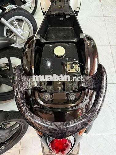 ZIN CỌP - Mio Classico - Zin Nguyên Con Cực Êm Đep