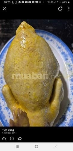 Nhà hàng Dũng Vân - Hà Giang chuyên cơm rang - phở bò- gà vịt 