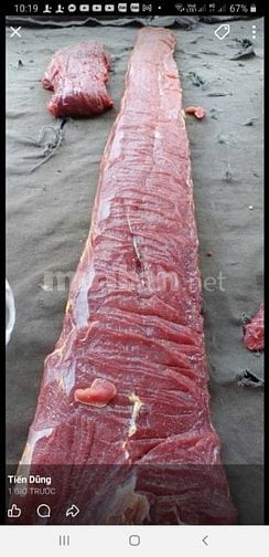 Nhà hàng Dũng Vân - Hà Giang chuyên cơm rang - phở bò- gà vịt 