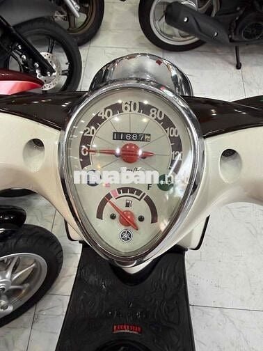 ZIN CỌP - Mio Classico - Zin Nguyên Con Cực Êm Đep