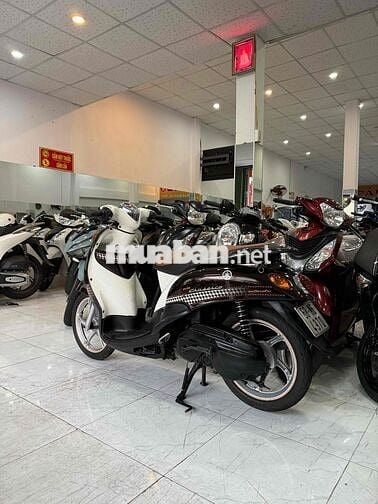 ZIN CỌP - Mio Classico - Zin Nguyên Con Cực Êm Đep