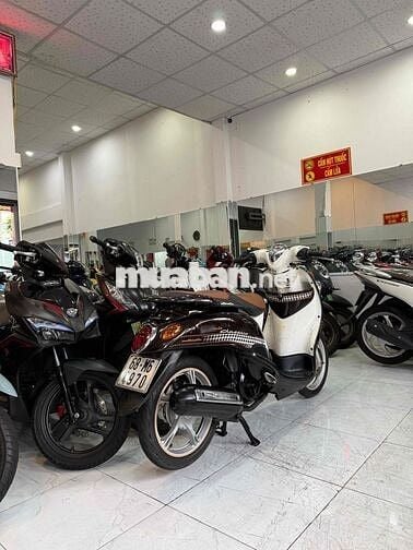 ZIN CỌP - Mio Classico - Zin Nguyên Con Cực Êm Đep