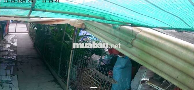 CHO THUÊ MẶT BẰNG MẶT TIỀN NGUYỄN VĂN TẠO – GẦN KCN HIỆP PHƯỚC