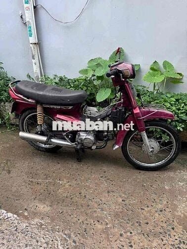 Citi 1998 bstp giấy đủ đi làm chở hàng bao chất