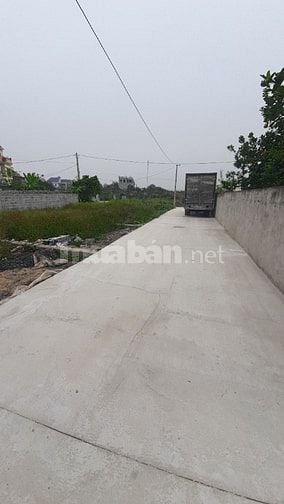 Bán đất sổ đỏ chính chủ đoan dự án vin olympic 