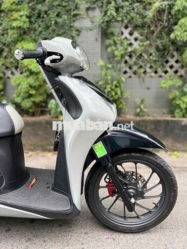 Sh Mode Xi Măng chính chủ