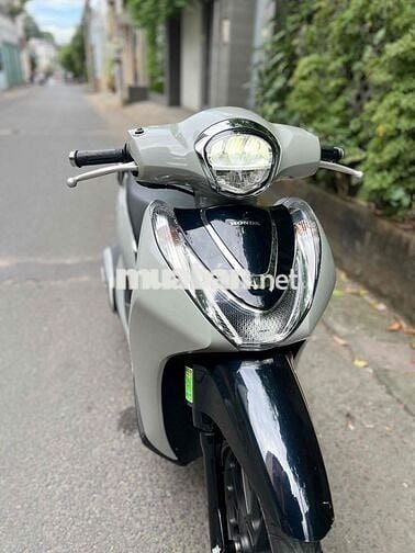 Sh Mode Xi Măng chính chủ