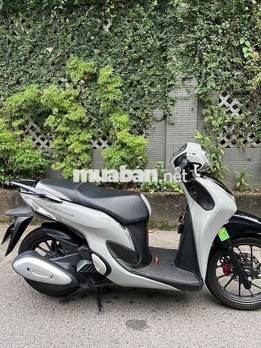 Sh Mode Xi Măng chính chủ