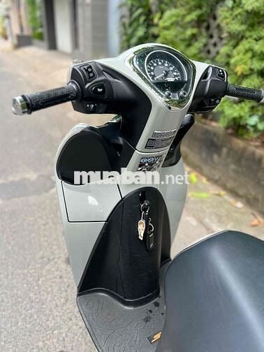 Sh Mode Xi Măng chính chủ