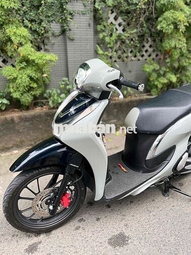 Sh Mode Xi Măng chính chủ