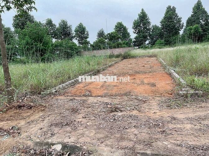 100M2, TĐC ĐHQG HN, GIÁ LOANH QUANH 5 TỶ