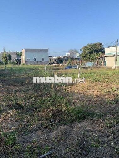 BÁN ĐẤT 1032m2,xã Hồ Tràm,tp Hcm( xã Phước Tân,Xuyên Mộc,BRVT cũ)