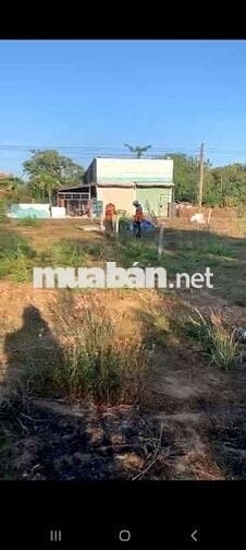 BÁN ĐẤT 1032m2,xã Hồ Tràm,tp Hcm( xã Phước Tân,Xuyên Mộc,BRVT cũ)