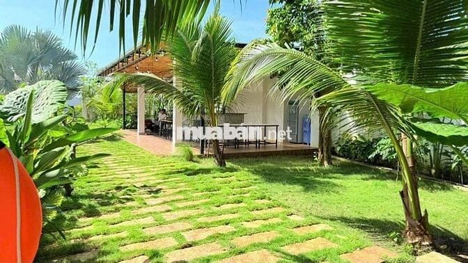 Homestay khu nhà vườn siêu đẹp tại Hồ Tràm – chỉ cách biển 3km