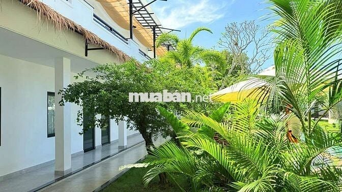 Homestay khu nhà vườn siêu đẹp tại Hồ Tràm – chỉ cách biển 3km