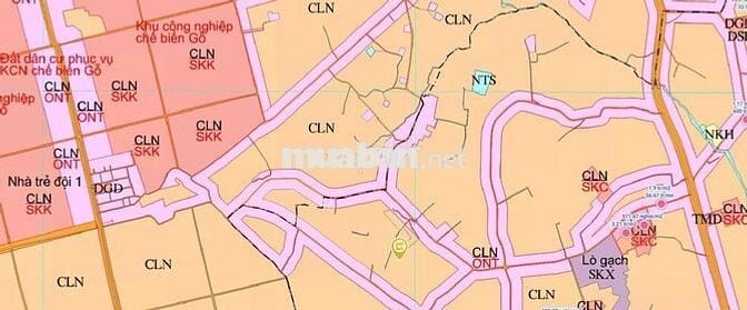 📢 BÁN ĐẤT LÂU NĂM TẠI AN LẬP – DẦU TIẾNG – BÌNH DƯƠNG