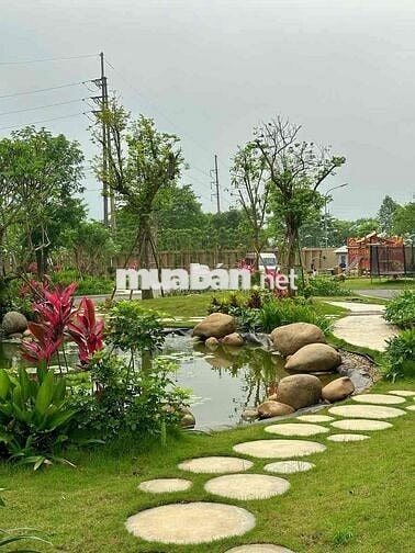 198tr có ngay 1 sào ngay trung tâm. Làm nhà vườn nghỉ dưỡng đẹp mê