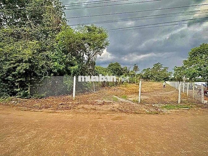 198tr có ngay 1 sào ngay trung tâm. Làm nhà vườn nghỉ dưỡng đẹp mê