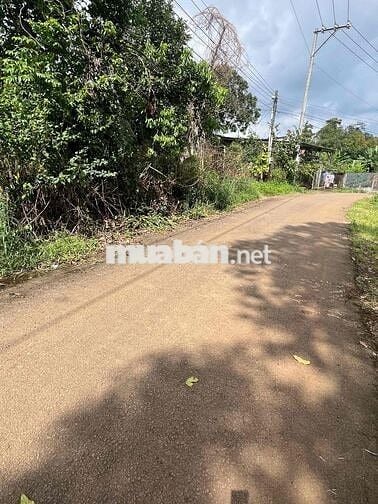 198tr có ngay 1 sào ngay trung tâm. Làm nhà vườn nghỉ dưỡng đẹp mê