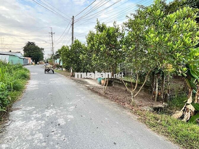 BÁN NHANH LÔ GÓC 2 MẶT TIỀN GIÁ 840TR - 343M2 TÂN THÔNG HỘI, CỦ CHI