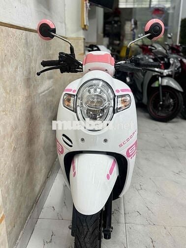 Scoopy trắng hổng siêu đẹp 43E1-543.43