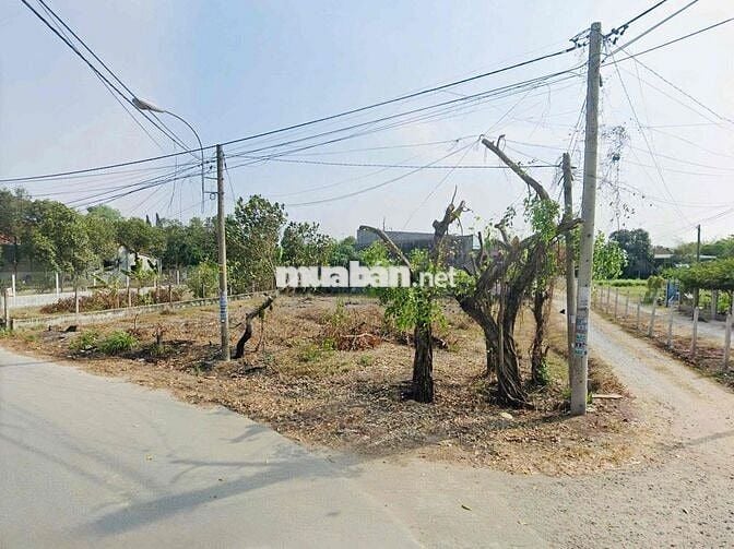 CẦN BÁN LÔ GÓC 2 MẶT TIỀN 820TR 343M2 TÂN THÔNG HỘI, CỦ CHI