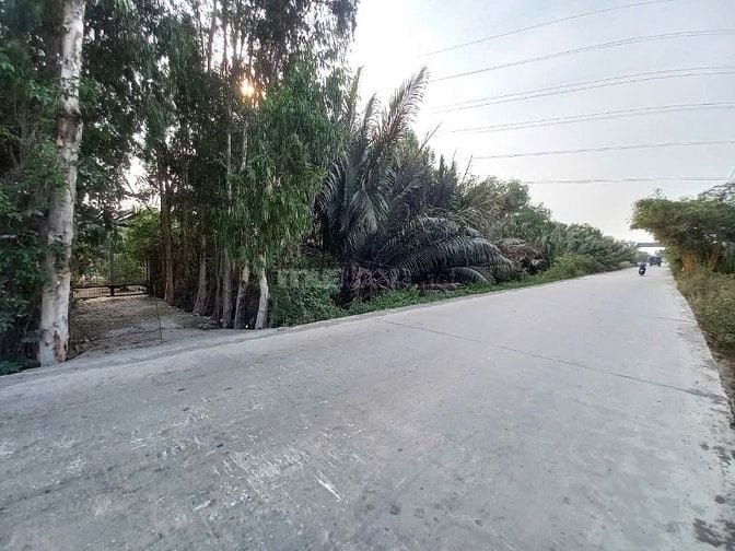 Đất KCN Long Cang, 1 mặt tiền sông Vàm cỏ, 1 mặt tiền lộ lớn container