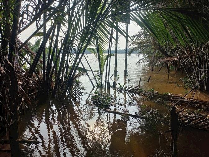 Đất KCN Long Cang, 1 mặt tiền sông Vàm cỏ, 1 mặt tiền lộ lớn container