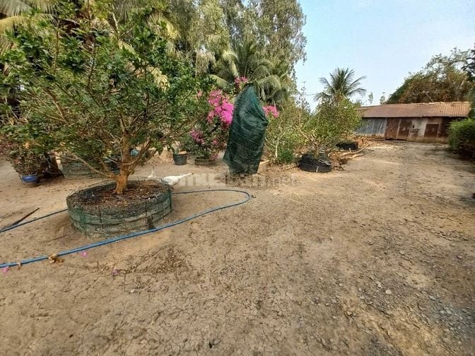 Đất KCN Long Cang, 1 mặt tiền sông Vàm cỏ, 1 mặt tiền lộ lớn container