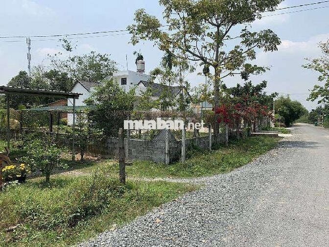 Siêu pgâm đất mặt tiền đường 20m . Tổng dt 1028,5m2 đất . Giá 1,889 tỷ