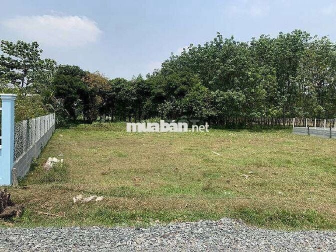 Siêu pgâm đất mặt tiền đường 20m . Tổng dt 1028,5m2 đất . Giá 1,889 tỷ