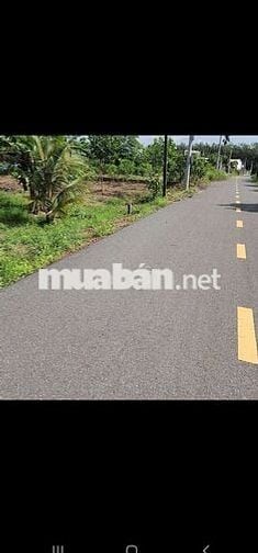 Chủ ngộp cần bán gấp lô đất trong tuần giá tốt