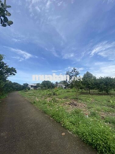 đất nền thổ cư sổ riêng hẻm xe hơi khu dân cư đông đúc