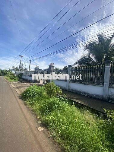 đất nền thổ cư sổ riêng hẻm xe hơi khu dân cư đông đúc