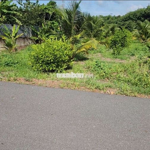 Chủ ngộp cần bán gấp lô đất trong tuần giá tốt